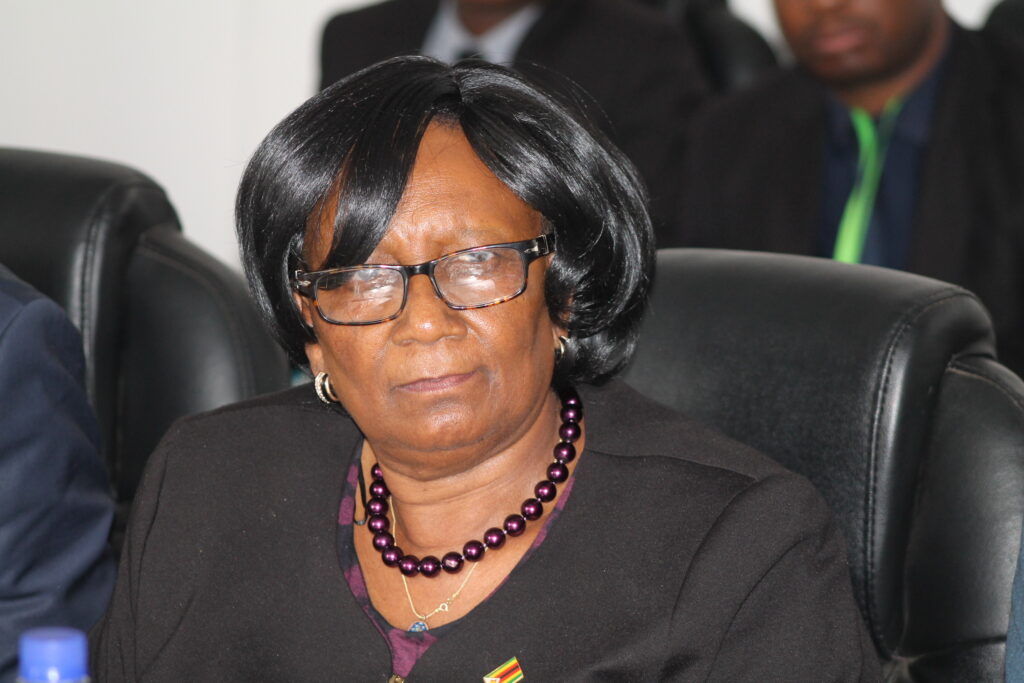 Mupfumira to host Environmental Forum | Tourism Focus