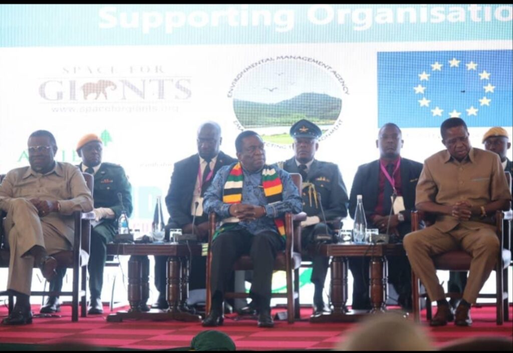 CITES must go back to founding principles: Mnangagwa