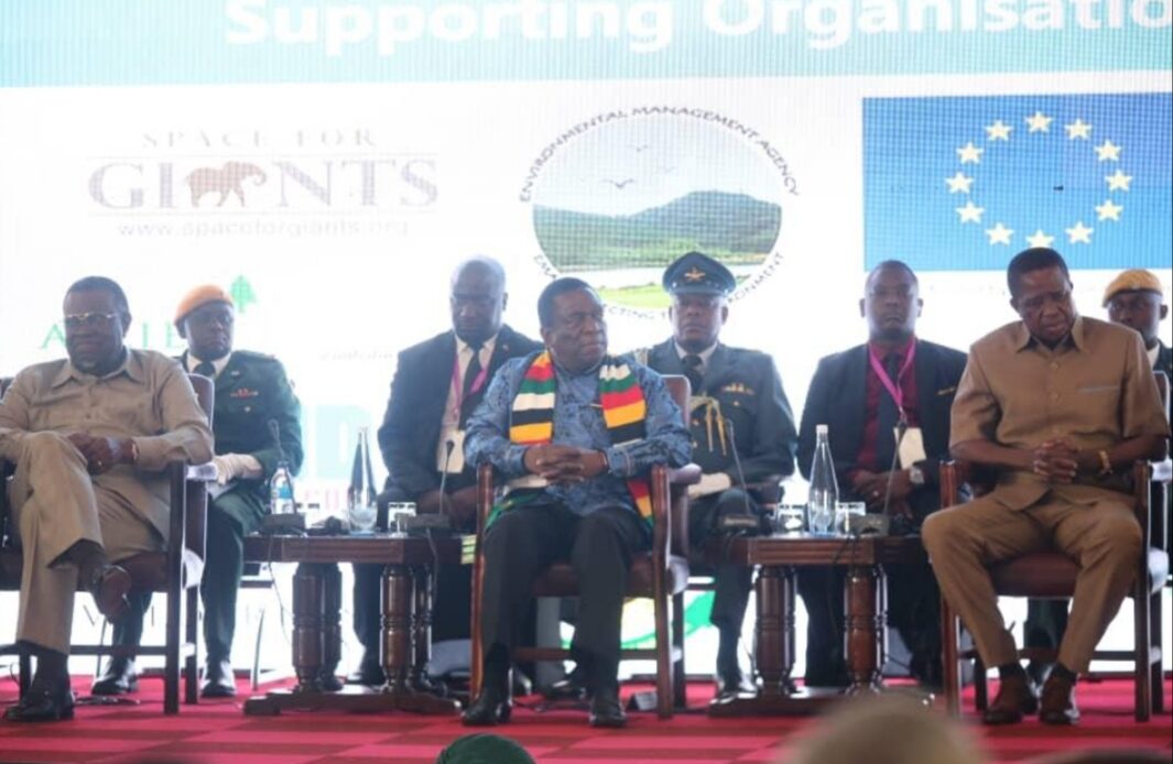 CITES must go back to founding principles: Mnangagwa