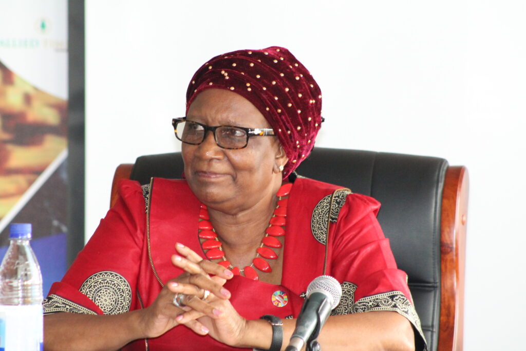 Special tourism packages for Zimbabwean Diaspora