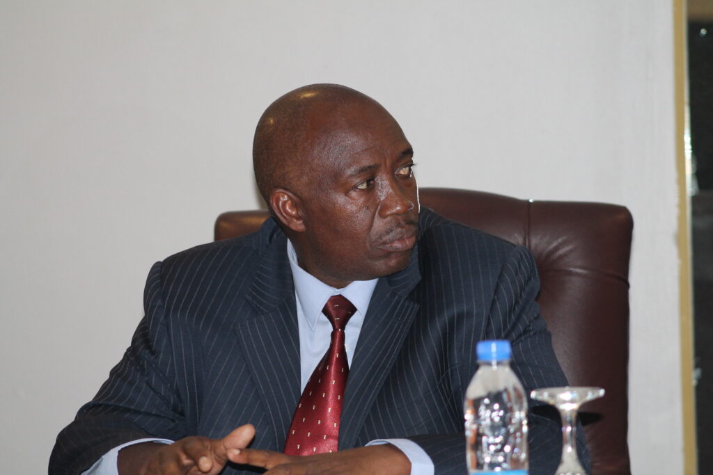 Chidzidzi appointed acting Chief Executive