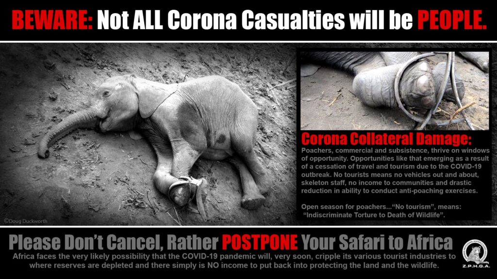 Don't cancel, rather postpone, Zimbabwe will still be here| Tourism Focus