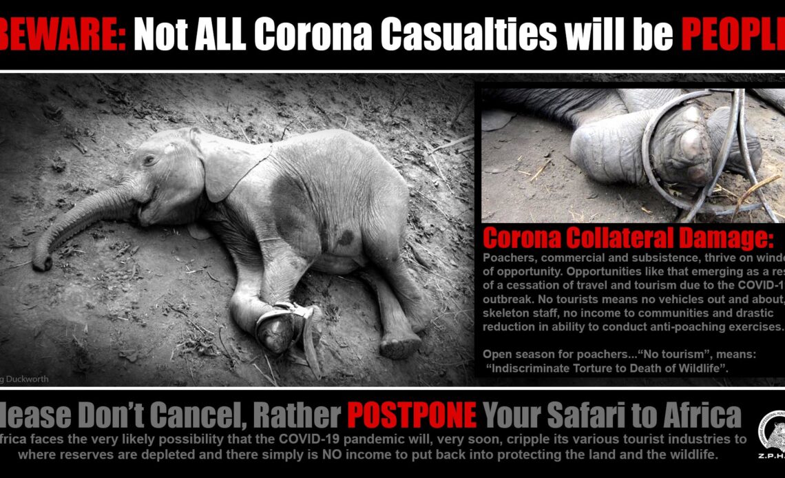 Don't cancel, rather postpone, Zimbabwe will still be here| Tourism Focus