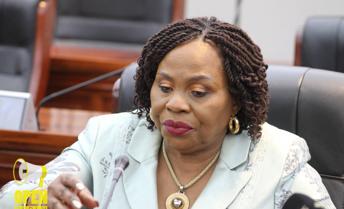 Human-Wildlife Conflict receiving top priority: Mutsvangwa | Tourism Focus Zimbabwe