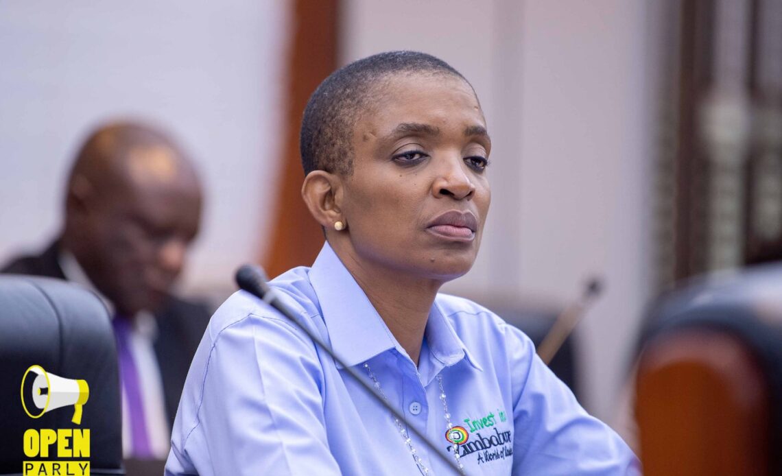 Rwodzi told to discard the term ‘’Township Tourism’’